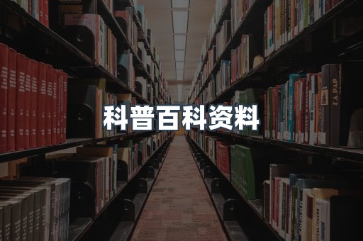 外文电子书系列